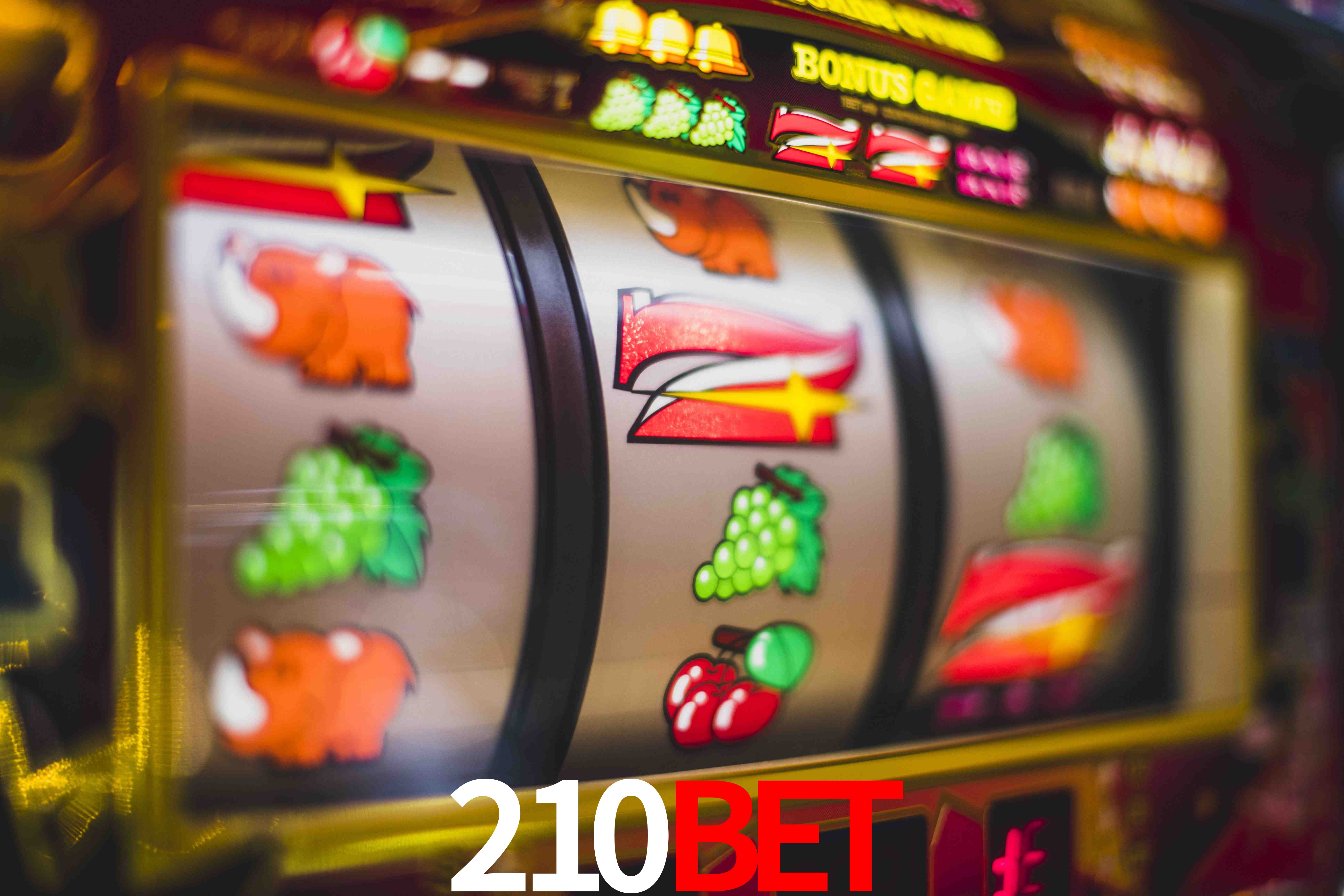 Crash Games Statistics 210bet